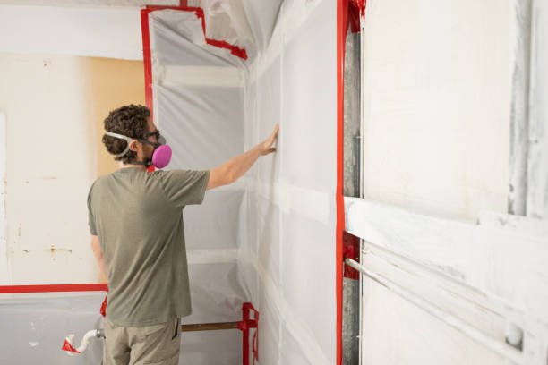 Best Real Estate Mold Inspection  in Plattsburgh West, NY
