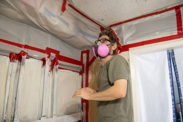  Plattsburgh West, NY Mold Removal Pros